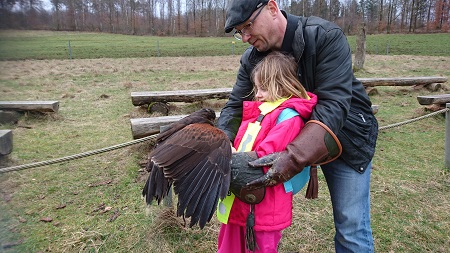 Beim Ausflug in den Tierpark wurden die Schneckenkinder zum Falkner (Foto: Kindertagessttte)