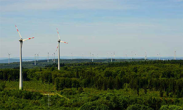 Windkraftindustrie und Naturschutz sind nicht vereinbar