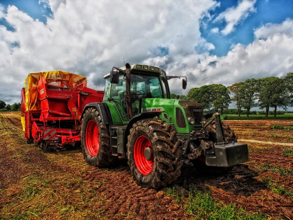 Landwirtschaftliche Betriebe in Sorge: Mindestlohnerhhung bedroht Existenz
