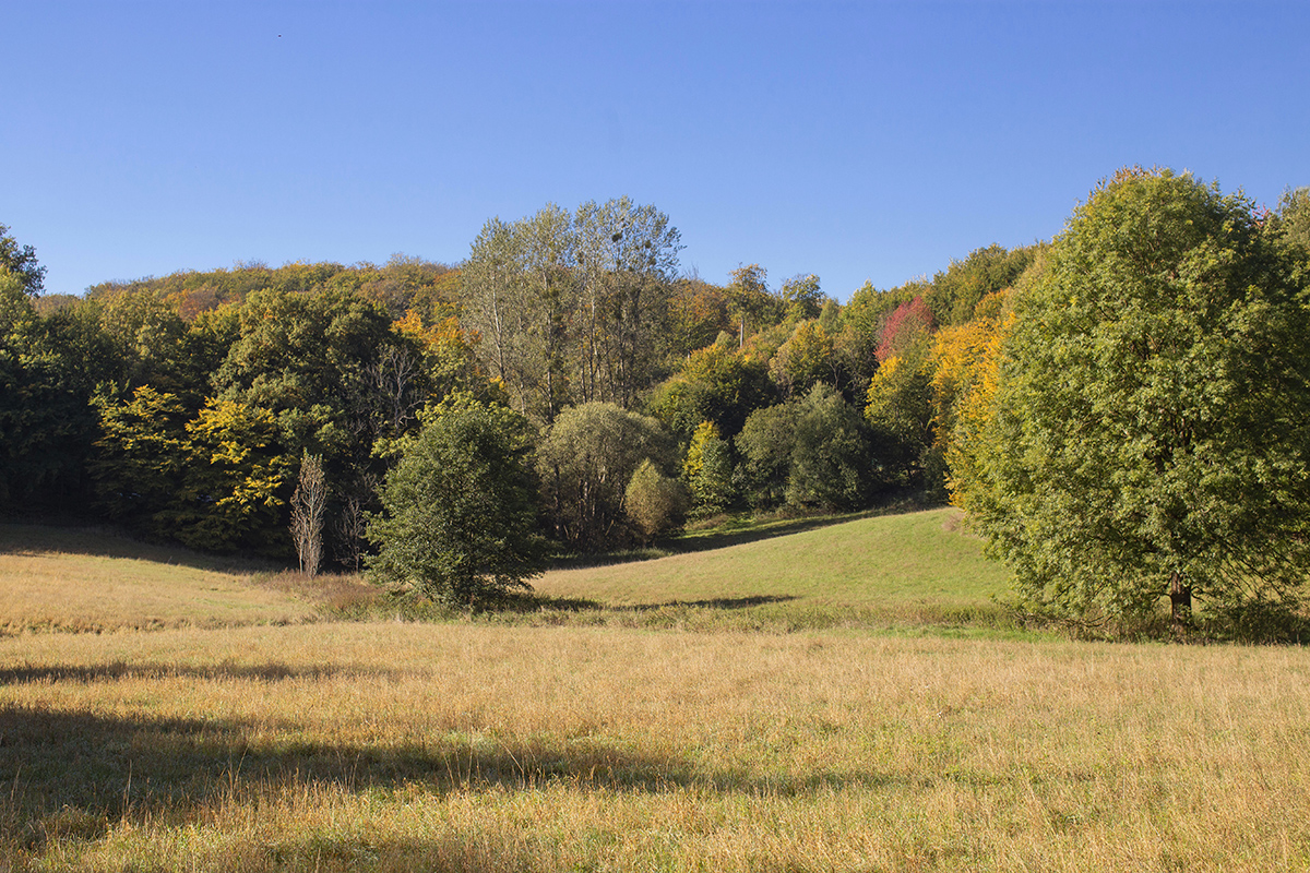 Der Sonntag ldt zum Verweilen in der Natur ein. Foto: Wolfgang Tischler