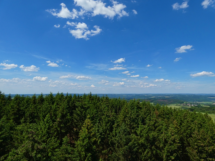 Turmblick Richtung Norden.