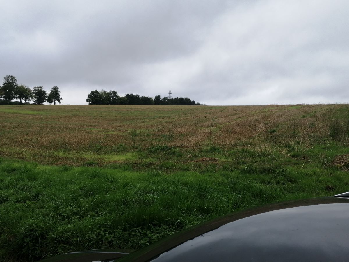 Diese Sdhanglage zwischen Umgehungsstrae und Bebauung am Leuzbacher Weg ist auserkoren, ein Baugebiet mit bis zu 46 Grundstcken zu werden. (Foto: vh)
