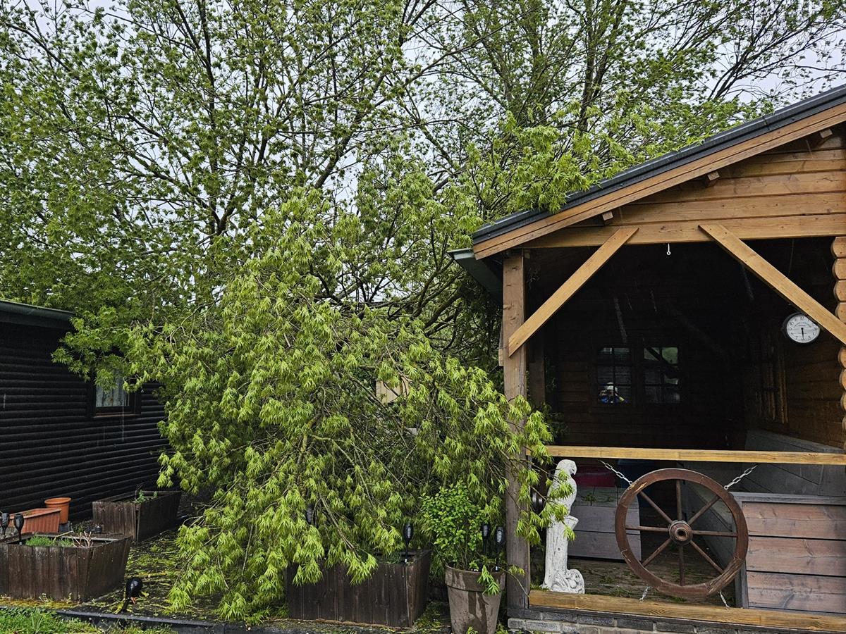 Ein Nebengebude in Niederbreitbach wurde durch einen umgestrzten Baum beschdigt. (Foto: Peter Schfer/VG Rengsdorf-Waldbreitbach)