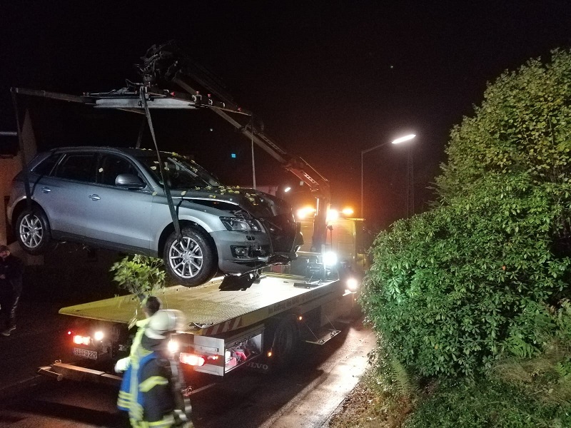 Das Auto kam in einem Gebsch zum Stehen. (Fotos: RS Media)