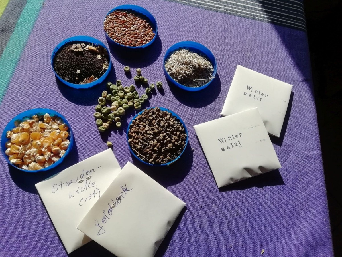 Samentauschb�rse (Foto: Olaf Riesner-Seifert)