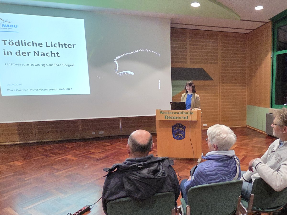 Vortrag von Klara Harres zum Thema Lichtverschmutzung fand in Rennerod gro�en Anklang