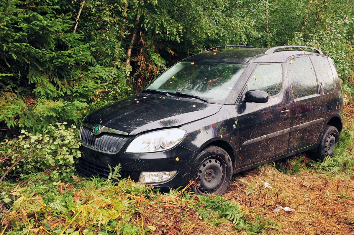 Der PKw "berstand" den Unfall fast ohne Schaden (Bild: kk)