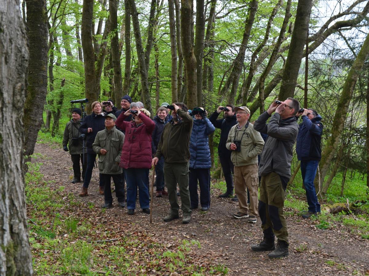 Vogelstimmenwanderung des NABU Hundsangen (Foto: Marcel Weidenfeller)