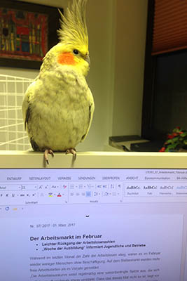 Wem gehrt dieser Vogel? Foto: Arbeitsagentur