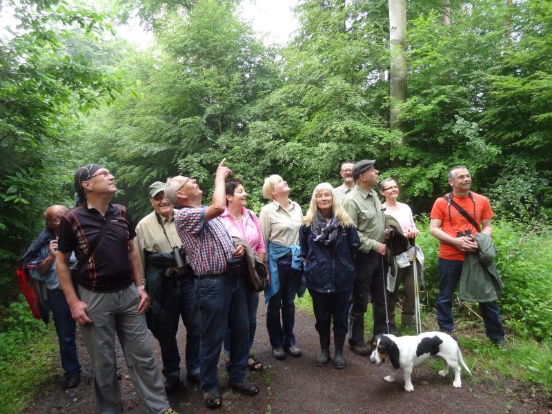 Naturerlebnisse wie hier bei einer Vogelstimmenwanderung will der Westerwald-Verein auch in diesem Jahr im Buchfinkenland wieder organisieren. Foto: privat