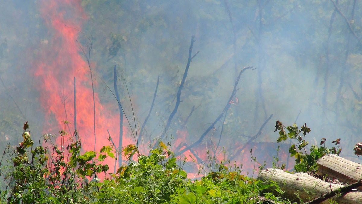 Die Waldbrandgefahr ist im Westerwald unverndert hoch. Foto: Wolfgang Tischler