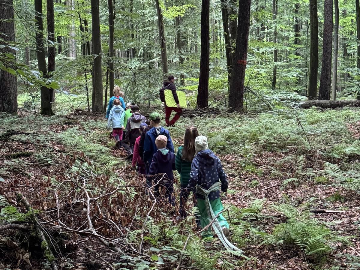 Waldferien voll Abenteuer und Naturerlebnisse im Stadtwald in Montabaur