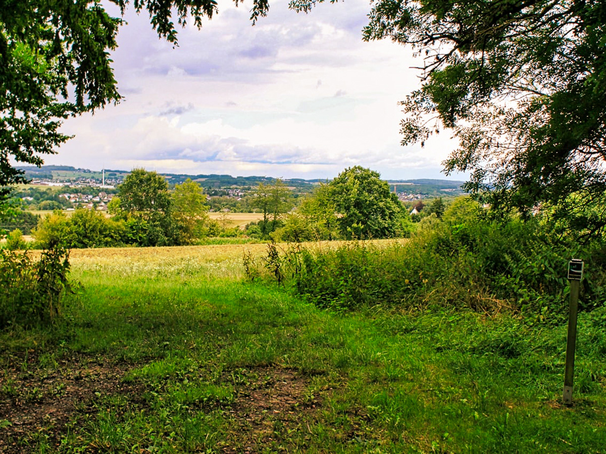 Bei einer Runde auf dem Raiffeisen-Panoramaweg kann man mit fantastischen Fernblicken ber 20 umliegende Ortschaften ersphen. (Foto: Axel Griebling)