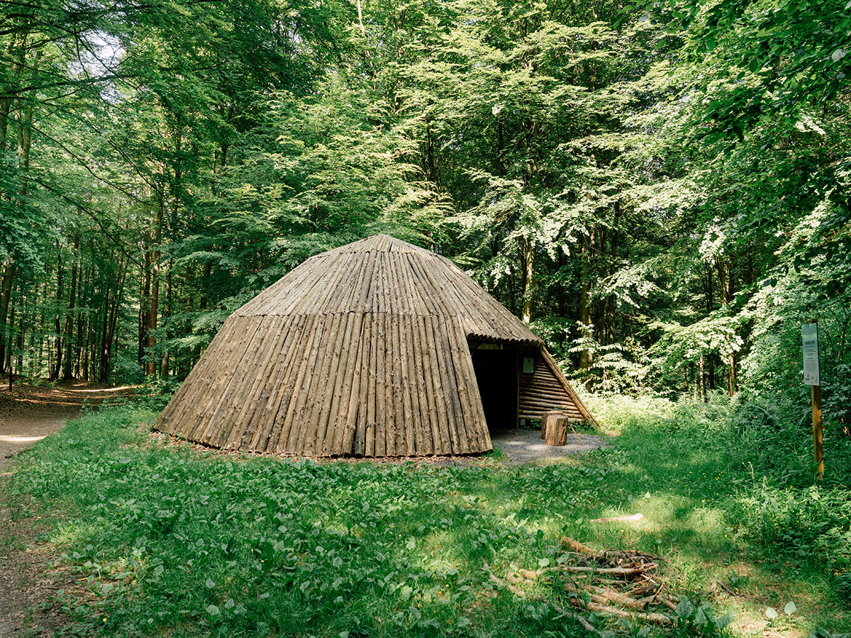 Waldlehrpfad Heimbacher Wald Neuwied: Natur erleben und Wissenswertes entdecken