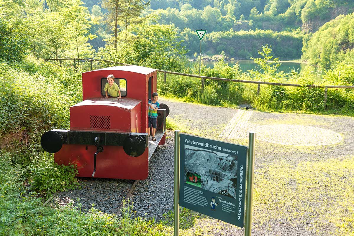 Im September findet im Basaltpark ein Fledermaus-Abend statt. (Foto: Tourist-Info)