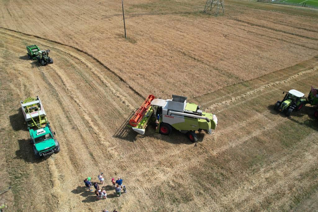 Drohnenaufnahme der Ernte. (Foto: Benjamin Trk)