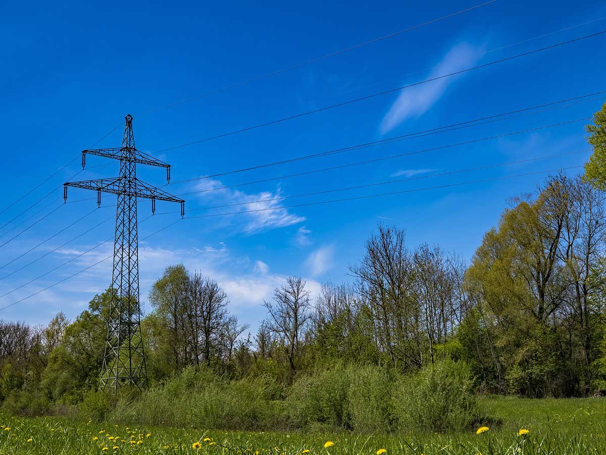 Baum fllt in Freileitung - Oberhaid und Mogendorf zeitweise ohne Strom