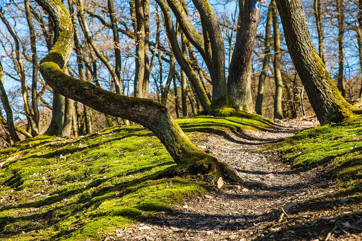 Tolle Wanderungen und eine E-Bike-Tour im September in der VG Rennerod