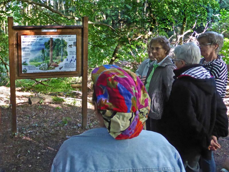 Westerwaldverein Bad Marienberg wanderte in heimischen Gefilden