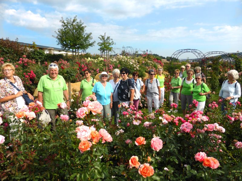 Westerwaldverein Bad Marienberg zu Gast beim Rosenfest 