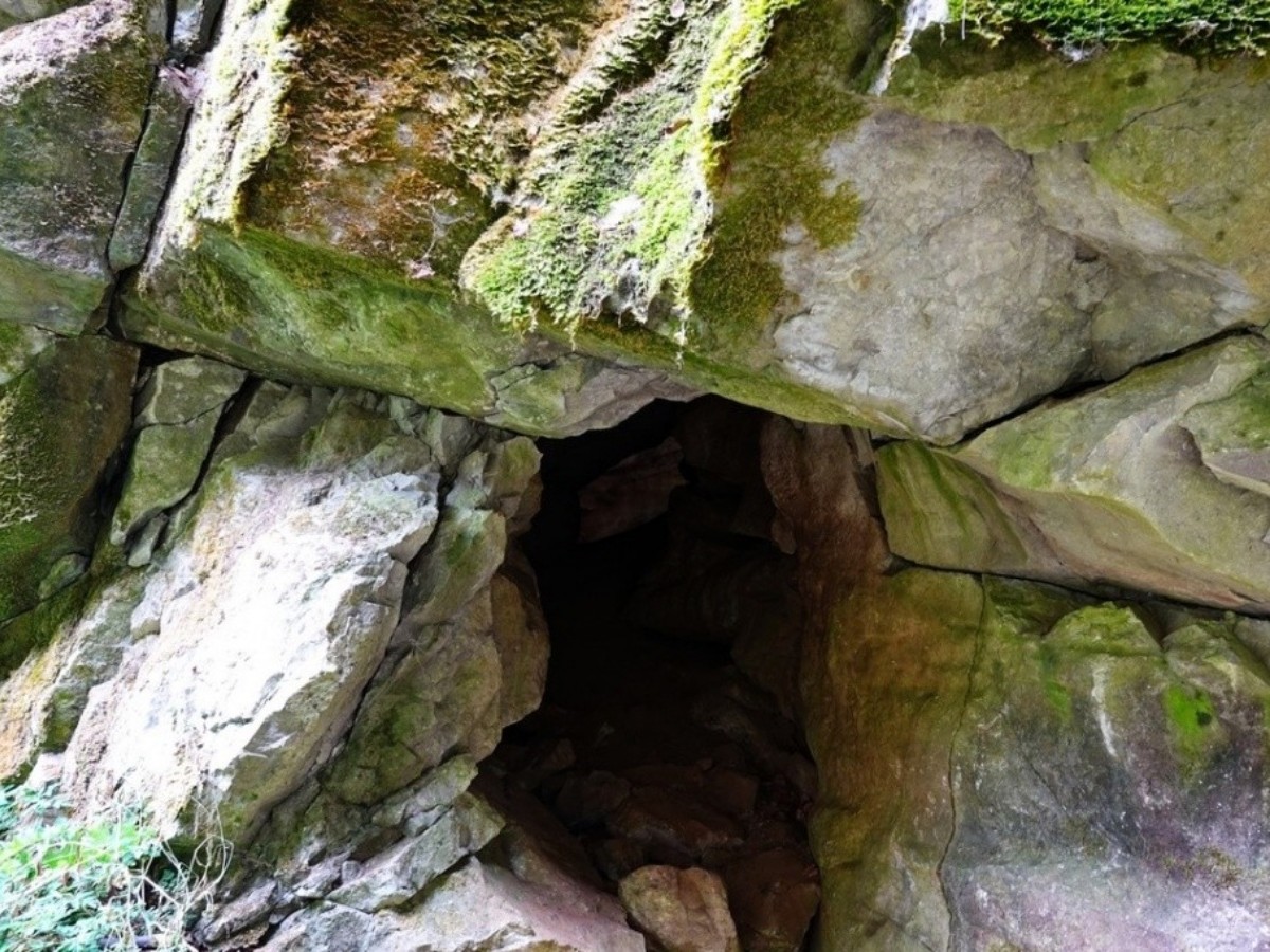 Erlebniswanderung in Breitscheid-Erdbach: Hhlenbren und Fossilien entdecken