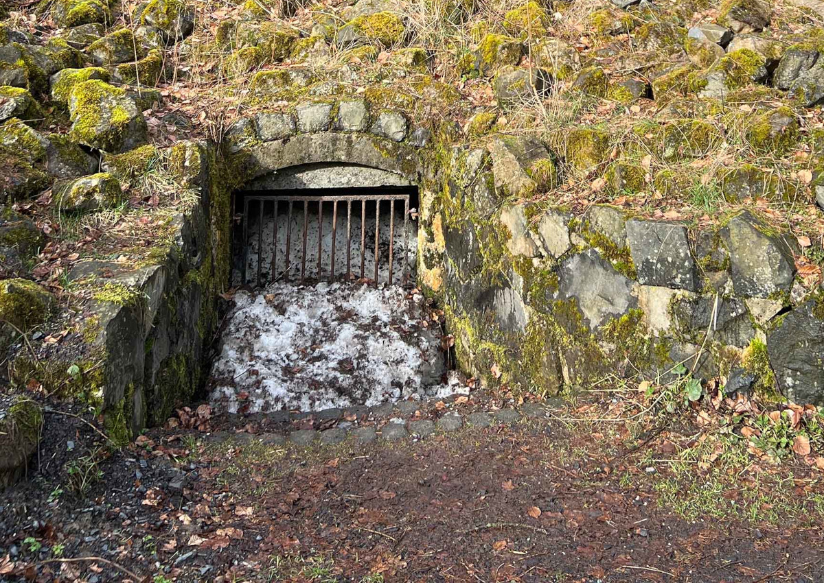 Naturwunder "Ewiges Eis": Westerwald-Verein mit dem Heinz-Sielmann-Preis ausgezeichnet