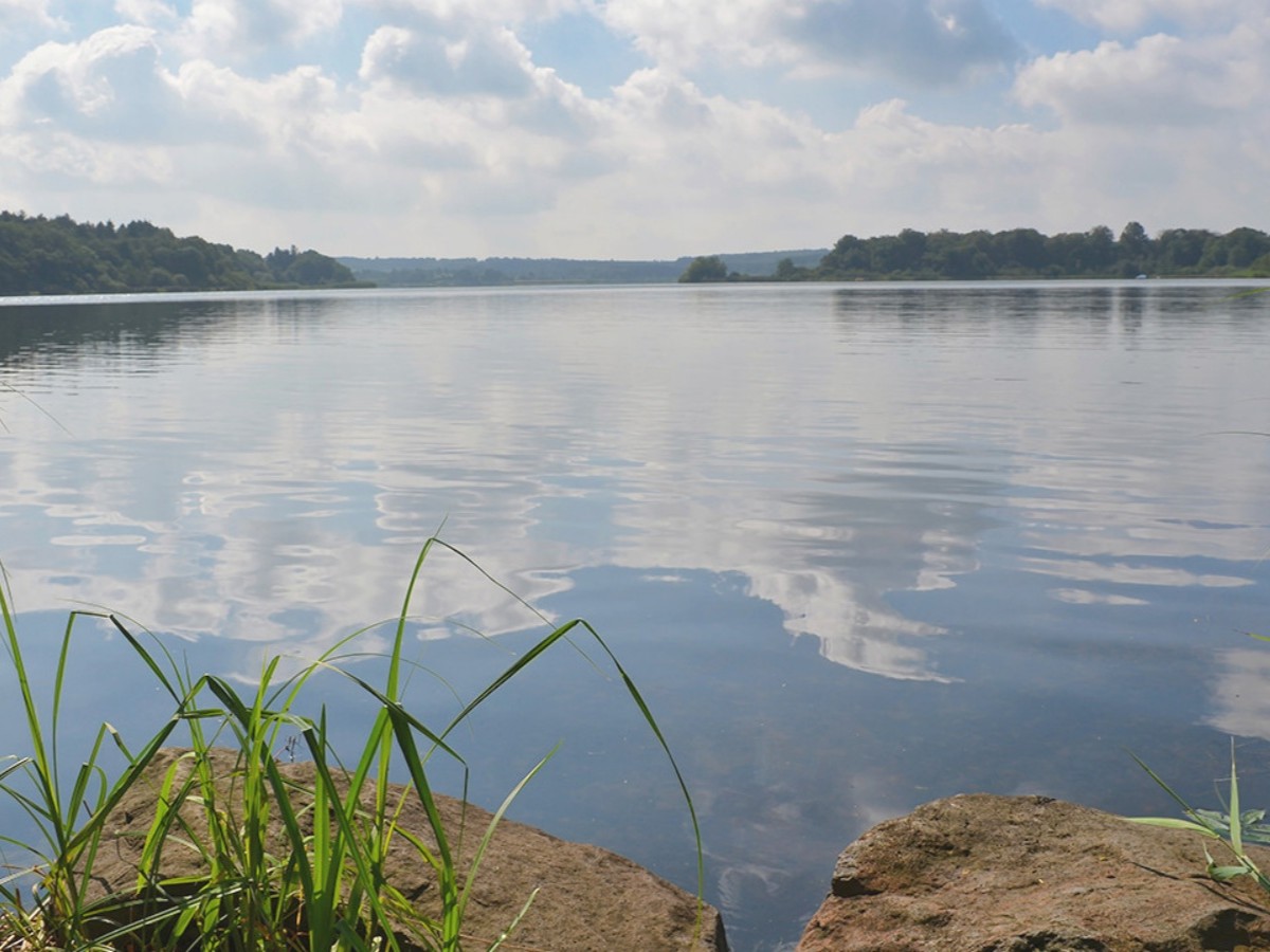Sanierung am Dreifelder Weiher: Millionenförderung für Naturschutz und Hochwasserschutz