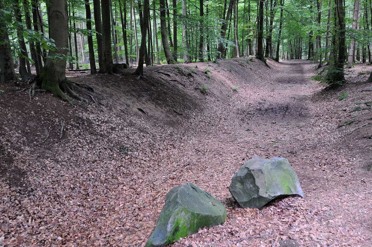 Die Wald-Jugendspiele werden in guter Tradition im jhrlichen Wechsel zwischen Neuwied und Bendorf ausgerichtet. (Foto: Dieter Bollmann)