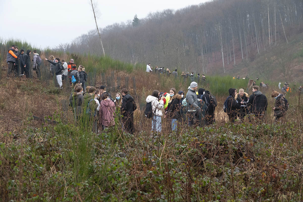 Viele fleiige Schler waren aktiv. Fotos: Wolfgang Tischler