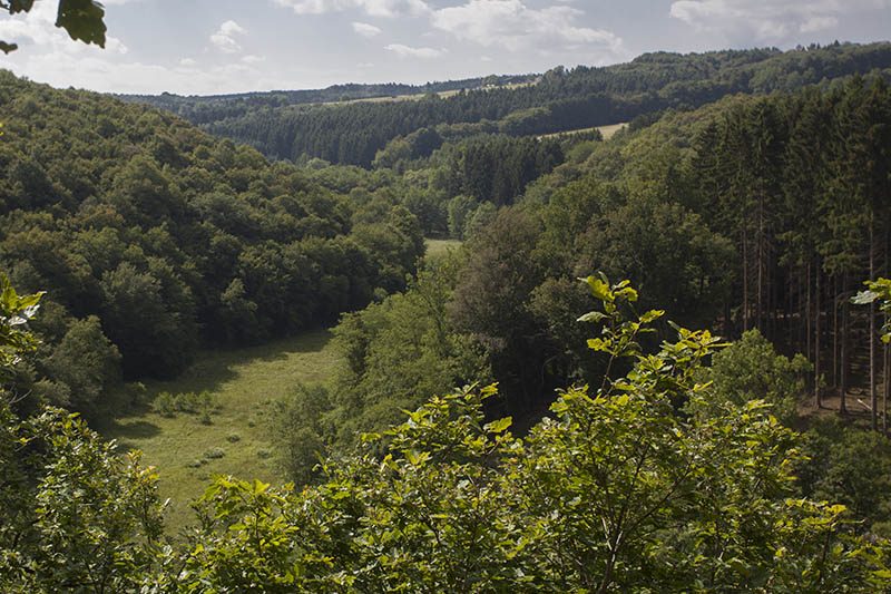 Demonstration der BI "Erhaltet die Natur in unserer Wller Heimat!"