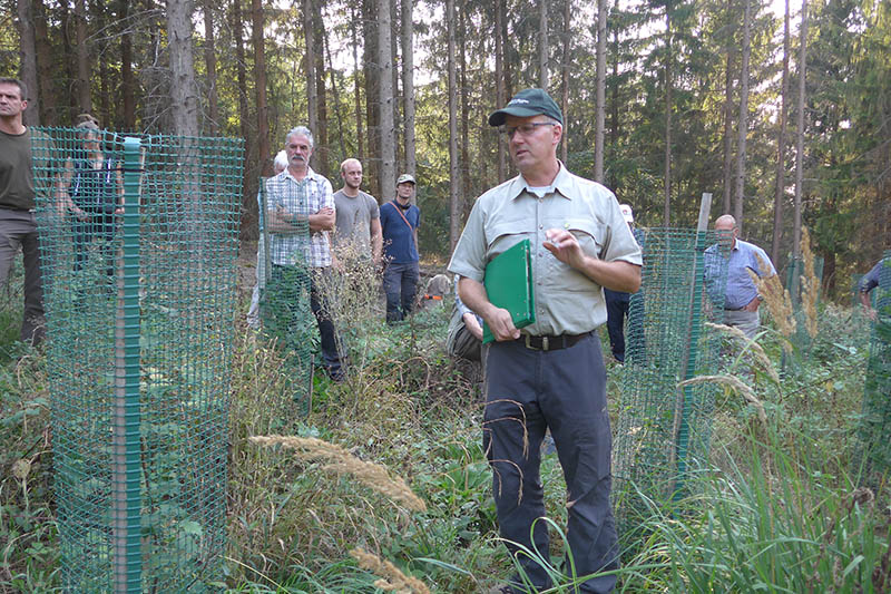 Revierfrster Kirst: Neubegrnung von Wald will gelernt sein. Foto: Waldbauverein