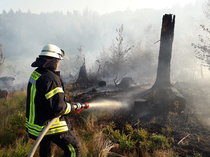 Erhhte Waldbrandgefahr im Kreis: Die Feuerwehr gibt Tipps