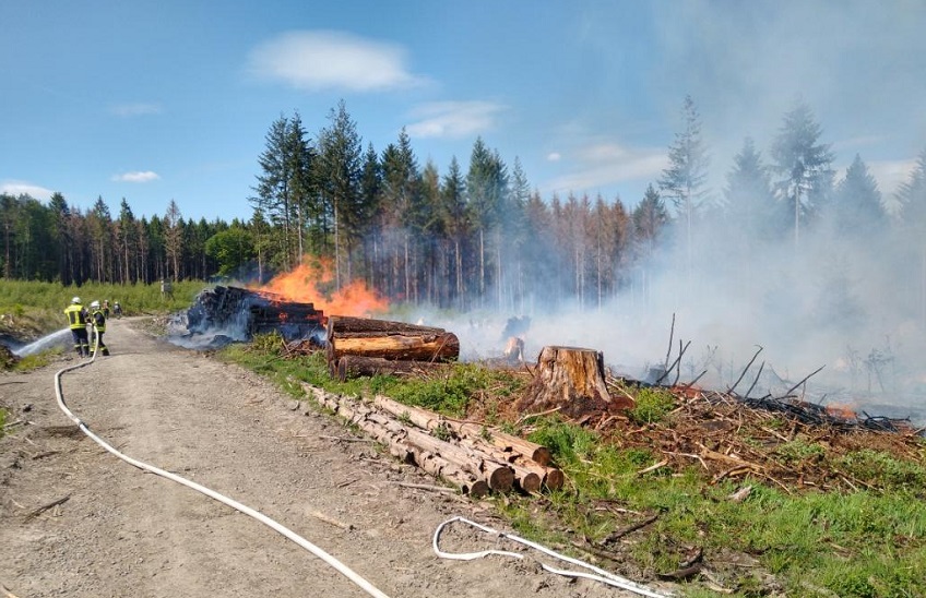 Waldbrand in Hasselbach (Foto: Polizei)