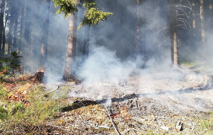 Waldbrand in der VG Daaden-Herdorf (Foto: Kreisfeuerwehrverband Altenkirchen)