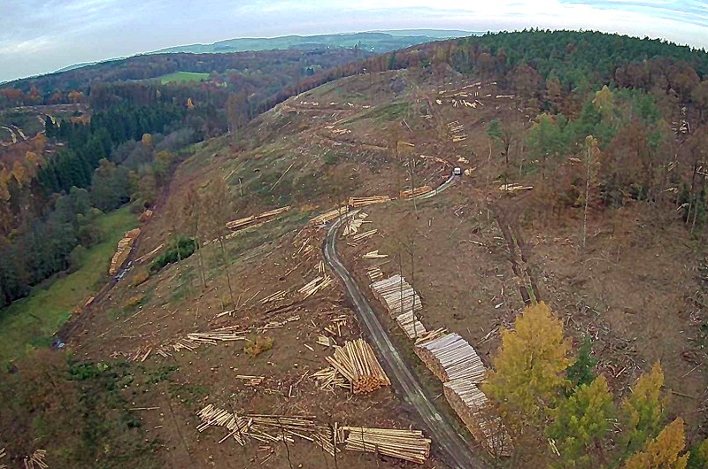 Drohnenfoto vom Waldsterben bei Pracht (Aufnahme: Bjrn Schumacher)