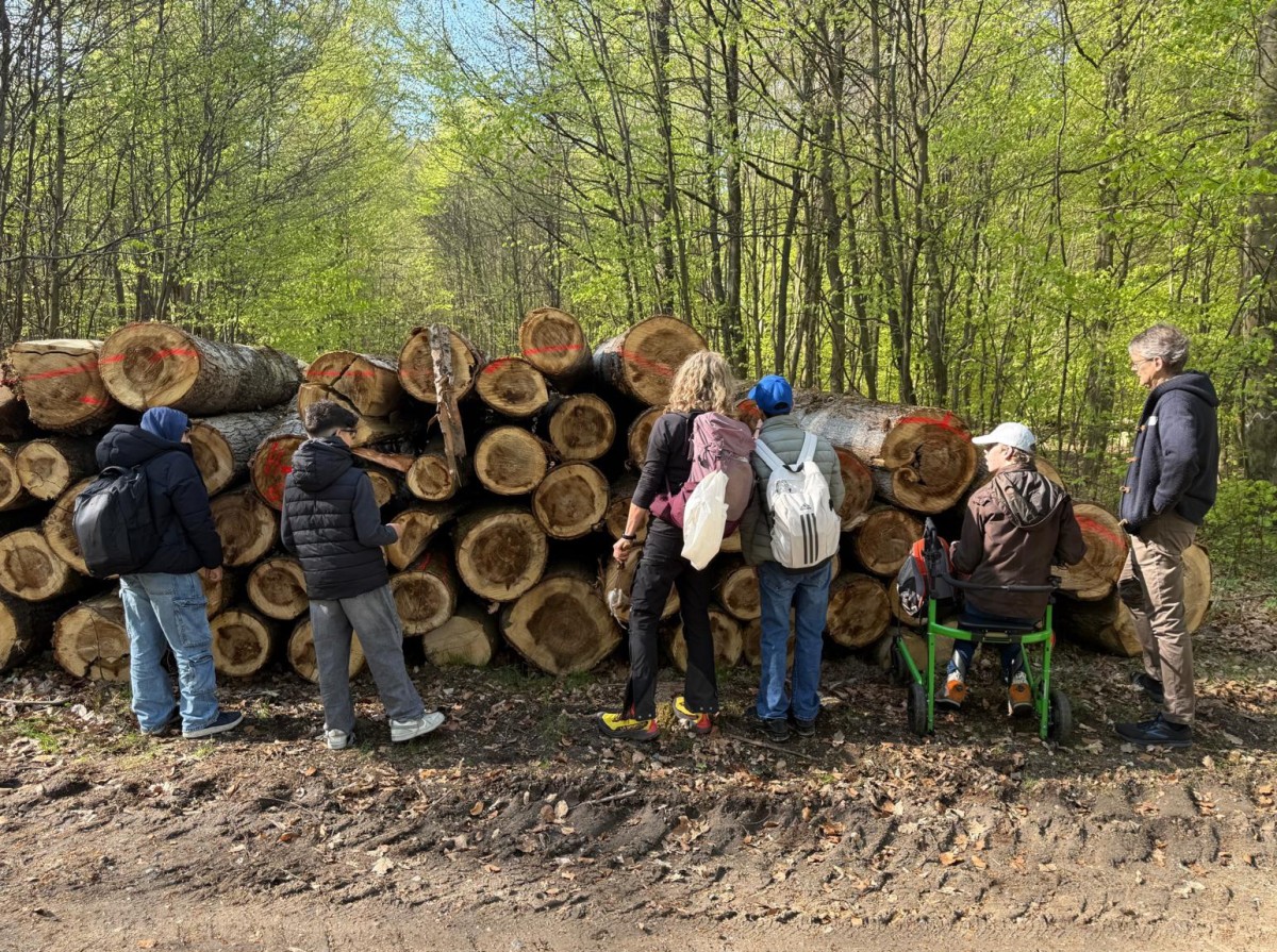 Waldtag (Foto: Diana Danielian)