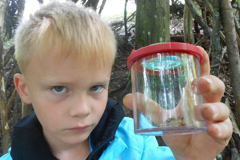 Kita Rodenbach: Kinder machten Entdeckungen in der Natur 