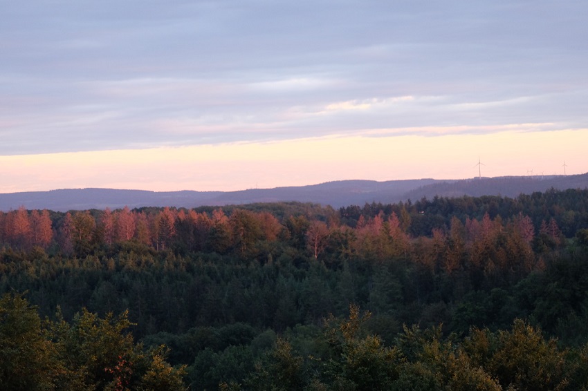 Unter dem Motto Gemeinsam! Fr den Wald finden in diesem Jahr die Waldtage statt.  (Foto: KathaBe)#