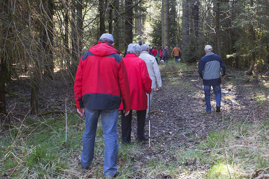 HVV Windhagen ldt zum Sonntagsspaziergang  