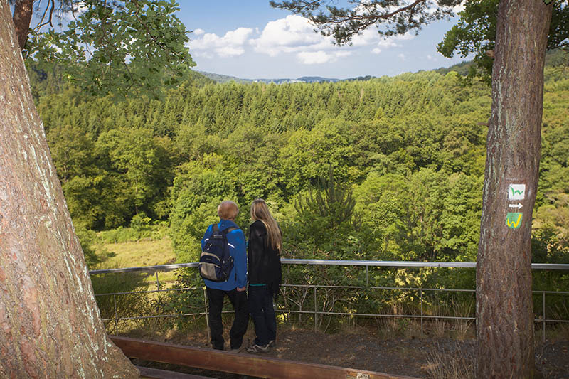 Durch Laubachtal und Rheingau wandern