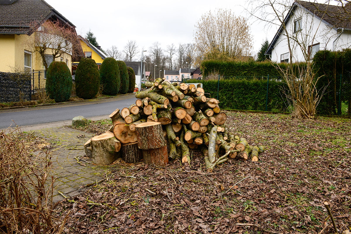 Das war es mit dem schnen Baum. Foto: Harry Neumann