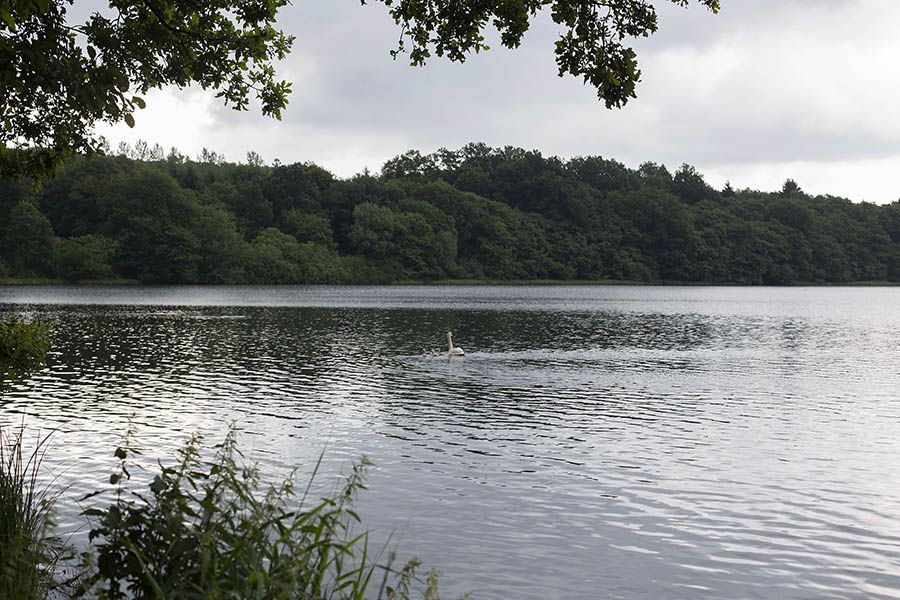 Naturerlebnis-Wanderung der Tourist-Information Hachenburg 