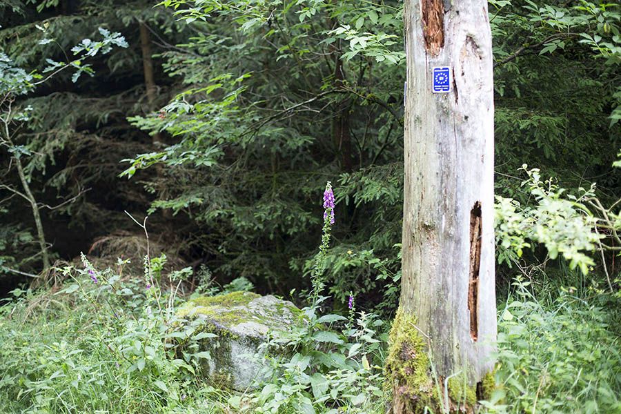 Wanderungen und Fahrten mit Werner Schnhofen