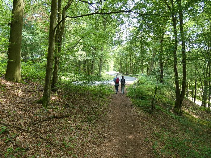 Wandern im Westerwald (Symbolfoto: GRI)