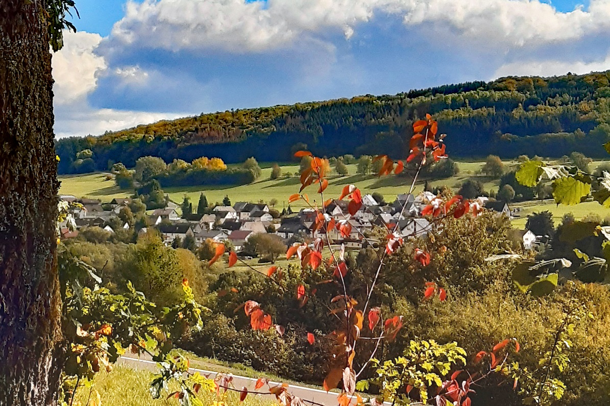 (Foto: Westerwaldverein Bad Marienberg)