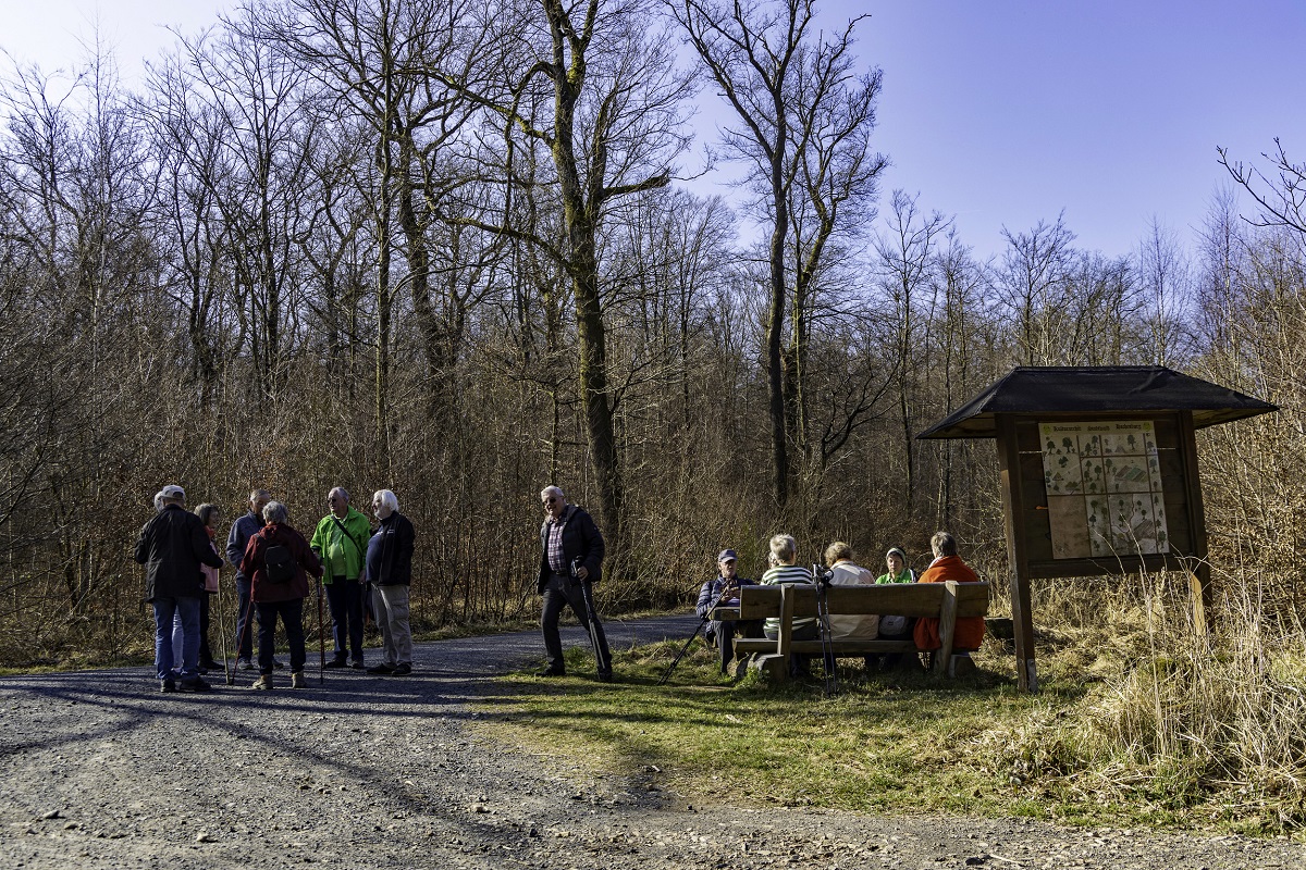 Bei bestem Sonntagswetter machte sich die Wandergruppe auf einen circa acht Kilometer langen Marsch. (Foto: privat)