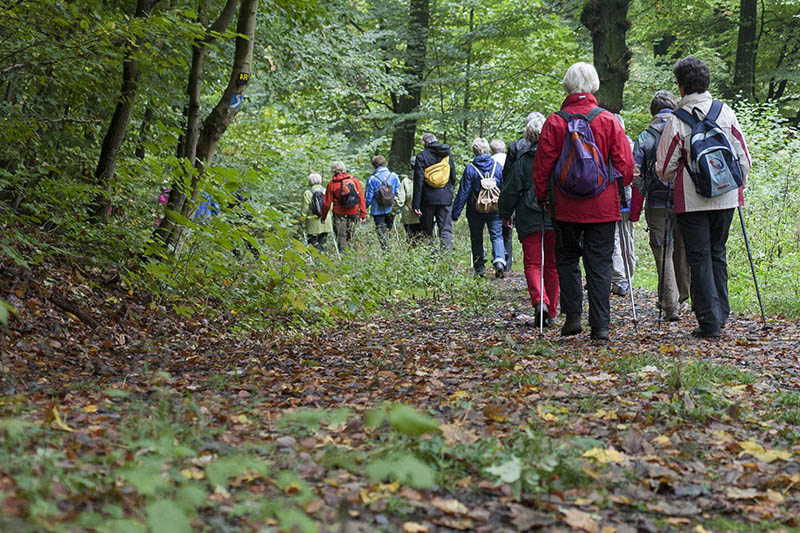 Augen auf beim Radfahren und Wandern im Westerwald 