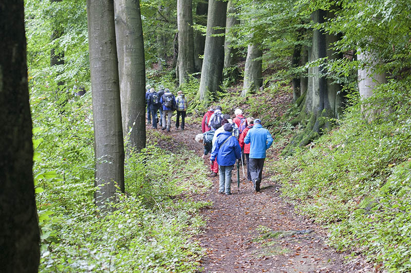 Wandern mit Werner Schnhofen