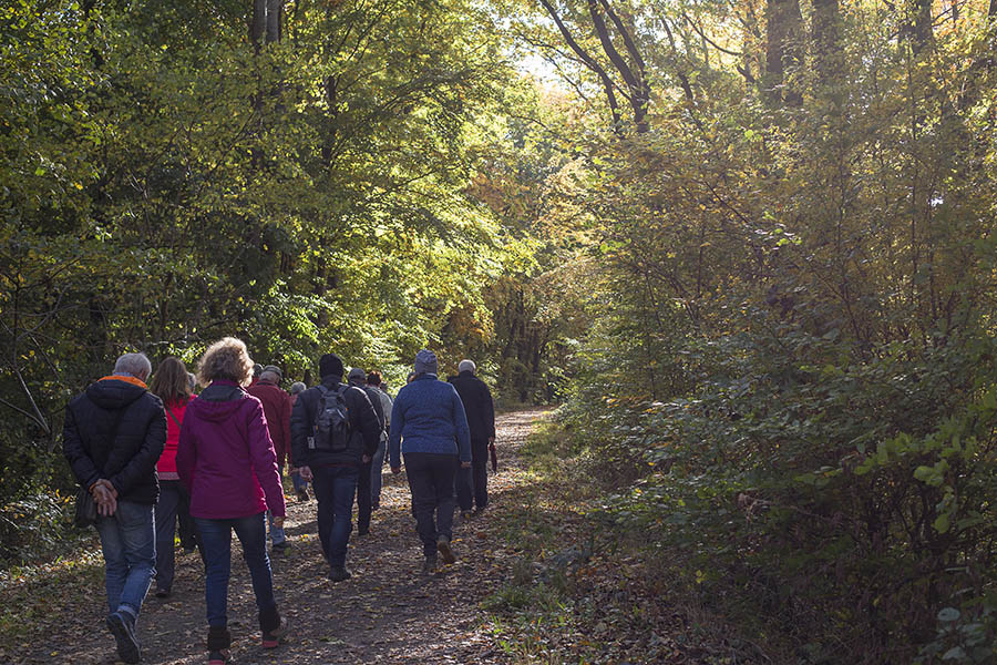 Es geht los! Kostenfrei gefhrte Wanderungen im Kannenbckerland 