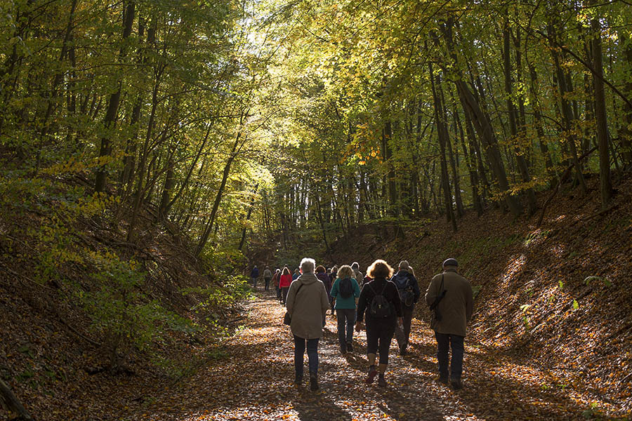 Kostenfrei gefhrte Wanderungen im Kannenbckerland 